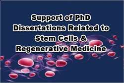 Support of projects in the field of stem cells is initiated